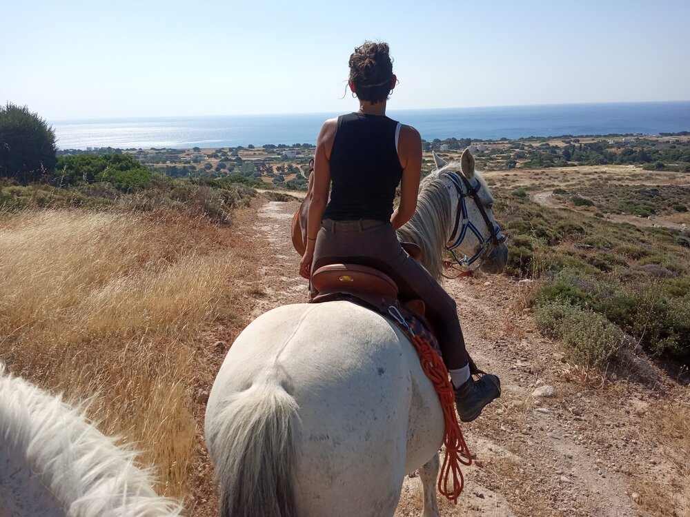 Selkäpuolelta kuvattuna valkoinen hevonen, selässä poninhäntäinen nainen maastossa, edessä merinäkymä.