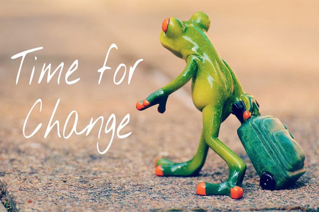 Kuvassa keraaminen sammakko vetää perässään pientä matkalaukkua. Vasemmalla teksti "time for change".