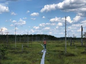 Nainen repussa, farkuissa, hupparissa, pipossa eli tekstin kirjoittaja kävelee suolla pitkospuita pitkin.