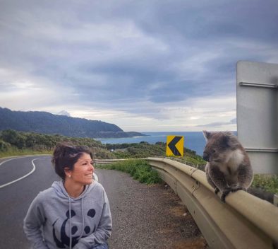 Nainen seisoo autotien vieressä. Koala istuu aidan päällä. Taustalla merimaisema.